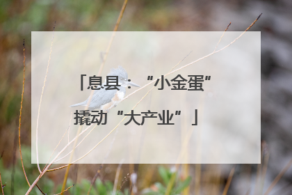 息县：“小金蛋”撬动“大产业”