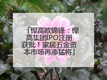 悍高欧锦锋：悍高集团IPO注册获批！家居五金资本市场再添猛将