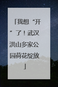 我想“开”了！武汉洪山多家公园荷花绽放
