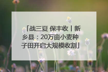 战三夏 保丰收丨新乡县：20万亩小麦种子田开启大规模收割