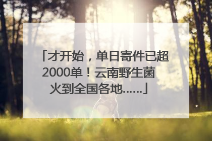 才开始，单日寄件已超2000单！云南野生菌火到全国各地……