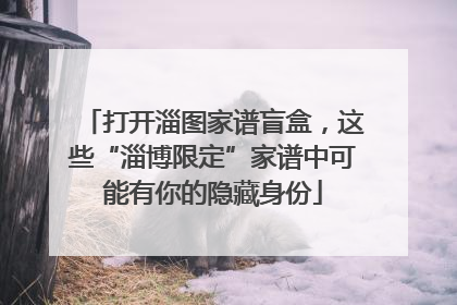 打开淄图家谱盲盒，这些“淄博限定”家谱中可能有你的隐藏身份