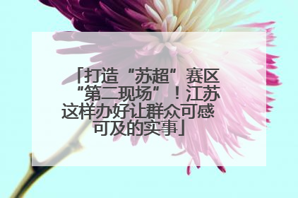 打造“苏超”赛区“第二现场”！江苏这样办好让群众可感可及的实事