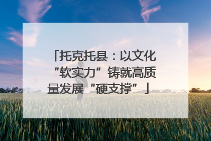 托克托县：以文化“软实力”铸就高质量发展“硬支撑”
