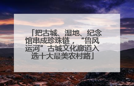 把古城、湿地、纪念馆串成珍珠链，“鲁风运河”古城文化廊道入选十大最美农村路