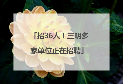 招36人！三明多家单位正在招聘