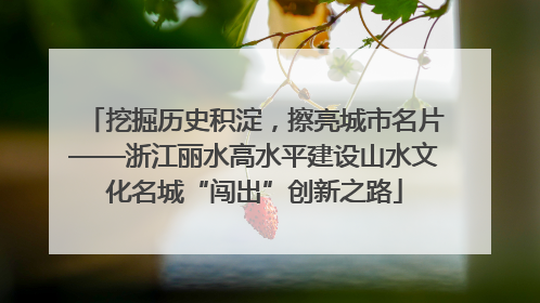挖掘历史积淀，擦亮城市名片——浙江丽水高水平建设山水文化名城“闯出”创新之路