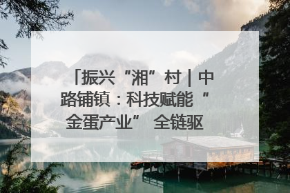 振兴“湘”村｜中路铺镇：科技赋能“金蛋产业” 全链驱动乡村振兴