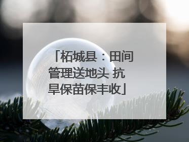 柘城县：田间管理送地头 抗旱保苗保丰收
