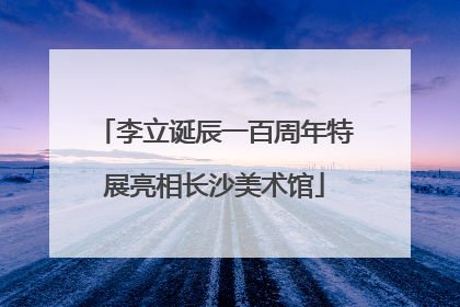 李立诞辰一百周年特展亮相长沙美术馆