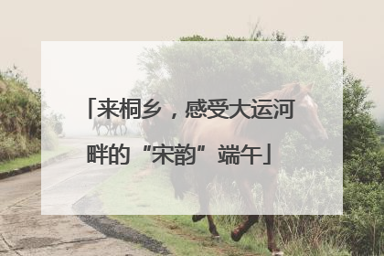 来桐乡，感受大运河畔的“宋韵”端午