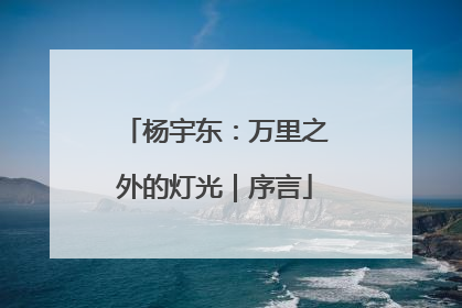 杨宇东：万里之外的灯光｜序言
