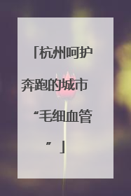 杭州呵护奔跑的城市“毛细血管”