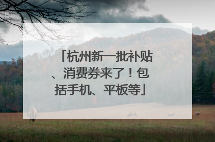 杭州新一批补贴、消费券来了！包括手机、平板等
