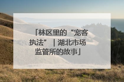 林区里的“宠客执法”｜湖北市场监管所的故事