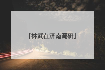 林武在济南调研