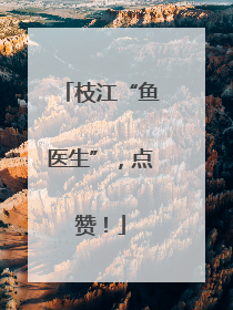 枝江“鱼医生”，点赞！