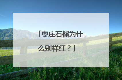 枣庄石榴为什么别样红？