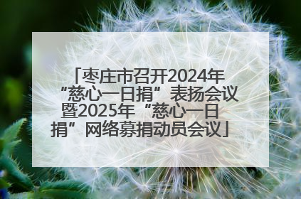 枣庄市召开2024年“慈心一日捐”表扬会议暨2025年“慈心一日捐”网络募捐动员会议