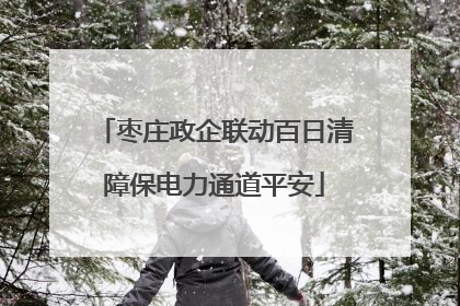 枣庄政企联动百日清障保电力通道平安