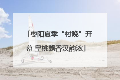 枣阳夏季“村晚”开幕 皇桃飘香汉韵浓