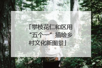 攀枝花仁和区用“五个一”描绘乡村文化新图景