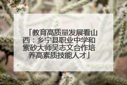 教育高质量发展看山西：乡宁县职业中学和紫砂大师吴志文合作培养高素质技能人才