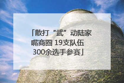 散打“武”动陆家嘴商圈 19支队伍300余选手参赛