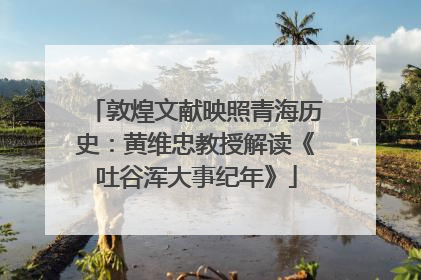 敦煌文献映照青海历史：黄维忠教授解读《吐谷浑大事纪年》