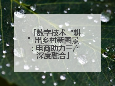 数字技术“耕”出乡村新图景：电商助力三产深度融合