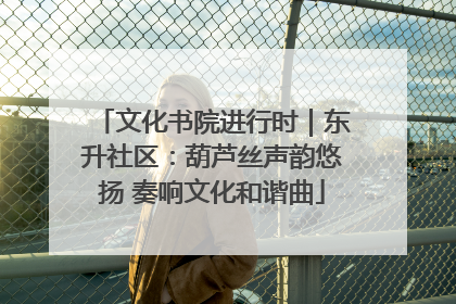 文化书院进行时｜东升社区：葫芦丝声韵悠扬 奏响文化和谐曲