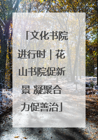 文化书院进行时｜花山书院促新景 凝聚合力促善治