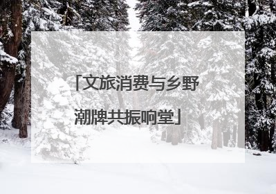 文旅消费与乡野潮牌共振响堂