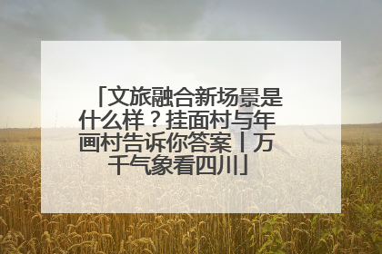文旅融合新场景是什么样？挂面村与年画村告诉你答案丨万千气象看四川