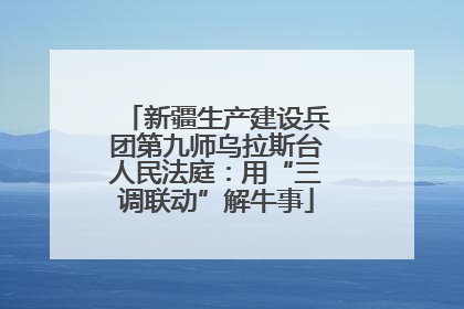新疆生产建设兵团第九师乌拉斯台人民法庭：用“三调联动”解牛事