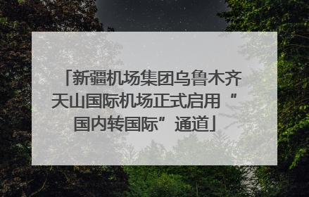 新疆机场集团乌鲁木齐天山国际机场正式启用“国内转国际”通道