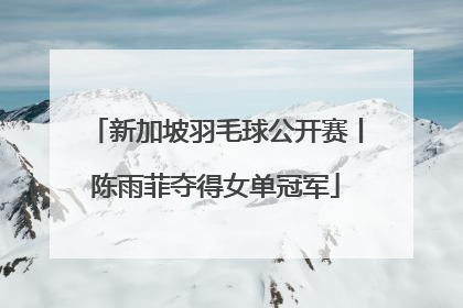 新加坡羽毛球公开赛丨陈雨菲夺得女单冠军