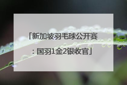 新加坡羽毛球公开赛：国羽1金2银收官