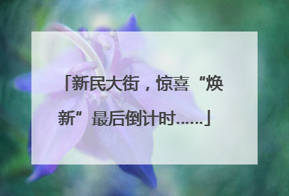 新民大街，惊喜“焕新”最后倒计时……