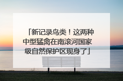 新记录鸟类！这两种中型猛禽在南滚河国家级自然保护区现身了
