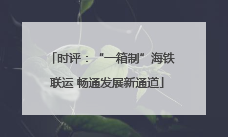 时评：“一箱制”海铁联运 畅通发展新通道