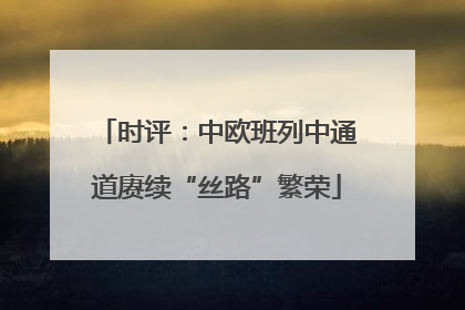 时评：中欧班列中通道赓续“丝路”繁荣