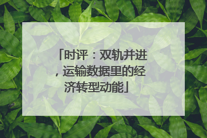 时评：双轨并进，运输数据里的经济转型动能