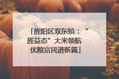 旌阳区双东镇：“旌益态”大米领航 优粮富民谱新篇