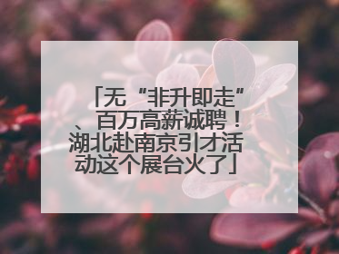 无“非升即走”、百万高薪诚聘！湖北赴南京引才活动这个展台火了