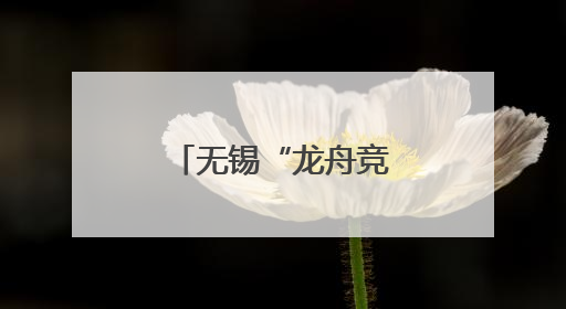 无锡“龙舟竞渡”，外籍人士组队参赛