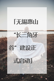 无锡惠山“长三角牙谷”建设正式启动