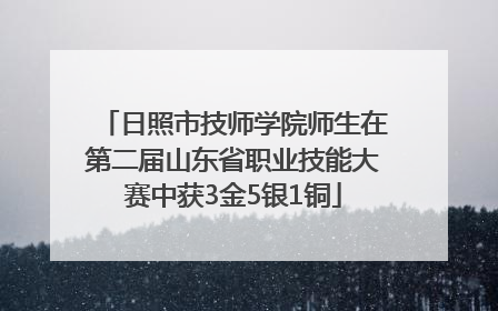 日照市技师学院师生在第二届山东省职业技能大赛中获3金5银1铜