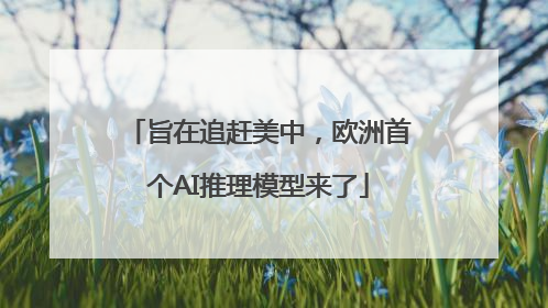 旨在追赶美中，欧洲首个AI推理模型来了
