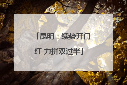 昆明：续势开门红 力拼双过半